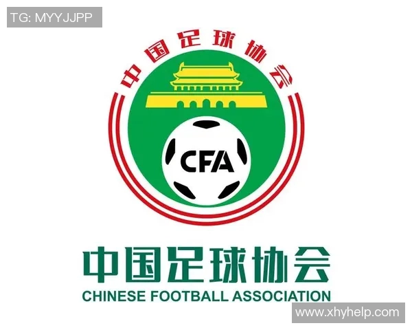 足协改革与发展：推动中国足球整体提升与国际化进程的战略思考