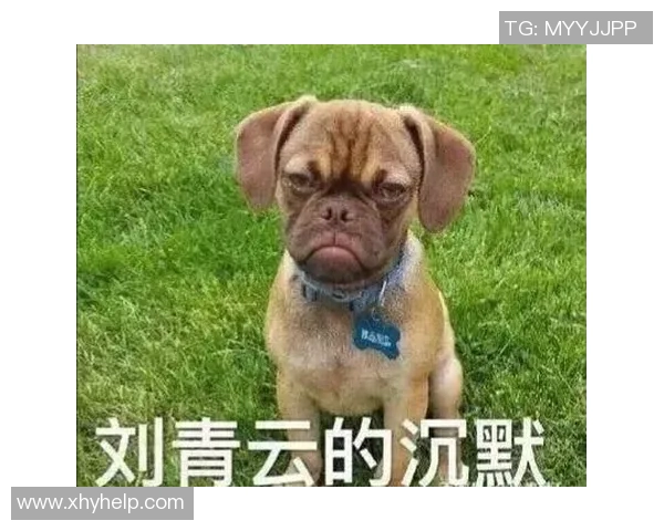 中国足球明星撞脸合集揭秘那些令人惊讶的相似面孔与他们的故事